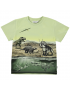 Molo - T-Shirt - Rame - Dino Earth