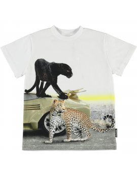 Molo - T-shirt - Road - Wild City