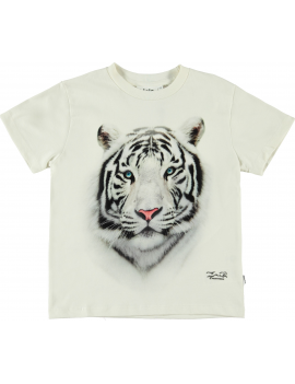 Molo - T-Shirt - Roxo - White Tiger