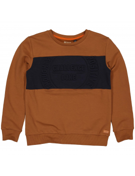 Quapi - Sweater - Rajco - Camel Dark