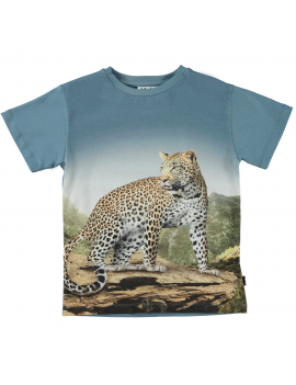 Molo - T-Shirt - Rasmus - Mountain Leopard
