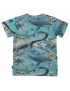 Molo - T-Shirt - Ralphie - Ancient Seas