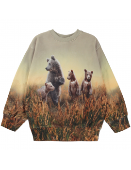 Molo - Sweater - Mattis - Bear Life