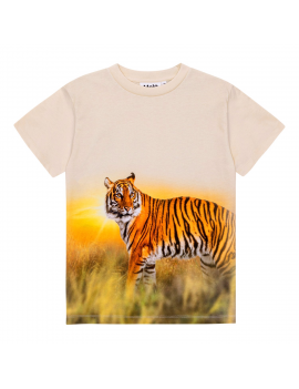 Molo - T-Shirt - Roxo - Tiger Sand