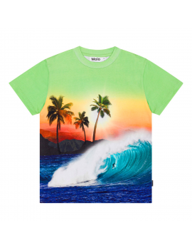 Molo - T-Shirt - Roxo - Green Sunset