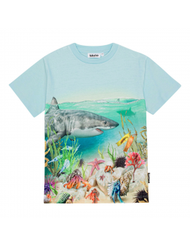 Molo - T-Shirt - Roxo - Shore Life
