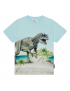 Molo - T-Shirt - Roxo - Beach Dino