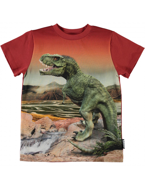 Molo - T-Shirt - Road - Dinosaurs