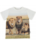 Molo - T-shirt - Road - Lions
