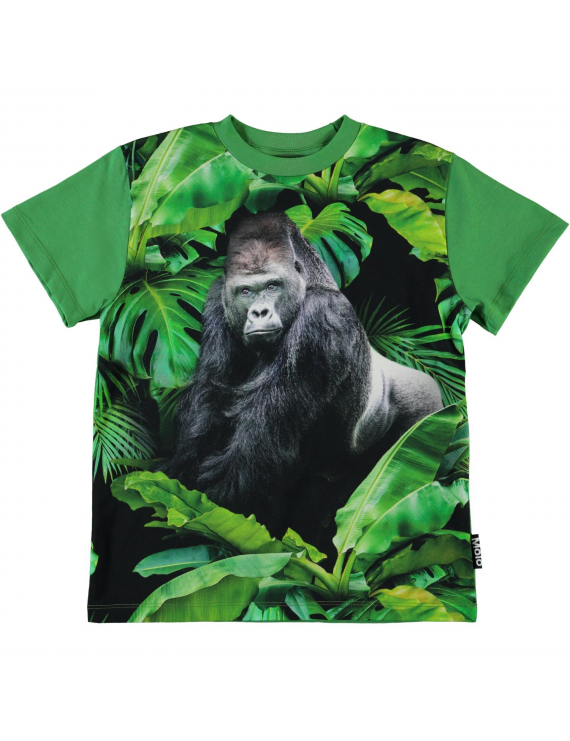 Molo - T-Shirt - Roxo - Gorilla