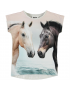 Molo - T-Shirt - Ragnhilde - Horse Friends