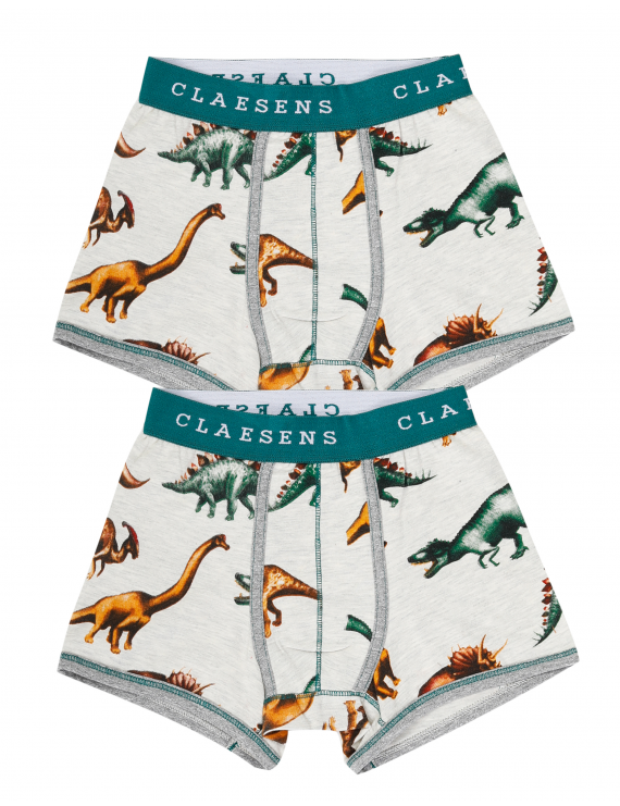 Claesen's - Boys 2-Pack Boxershorts - Dinosaur